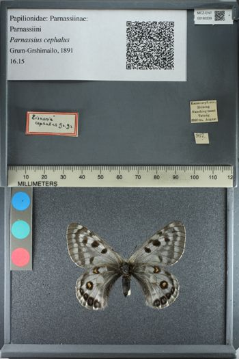 Media type: image;   Entomology 180339
